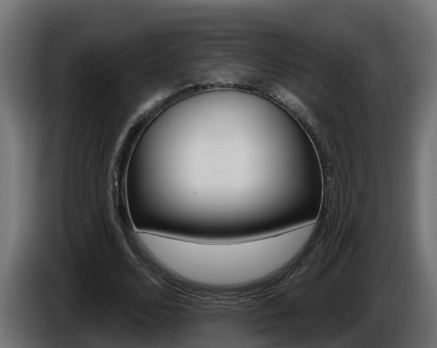 X0000086730680200704130747
