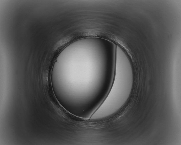 X0000086730681200704130747