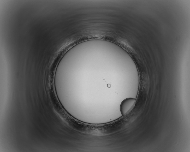 X0000086730683200704130747