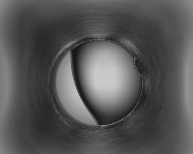 X0000086730684200704130747