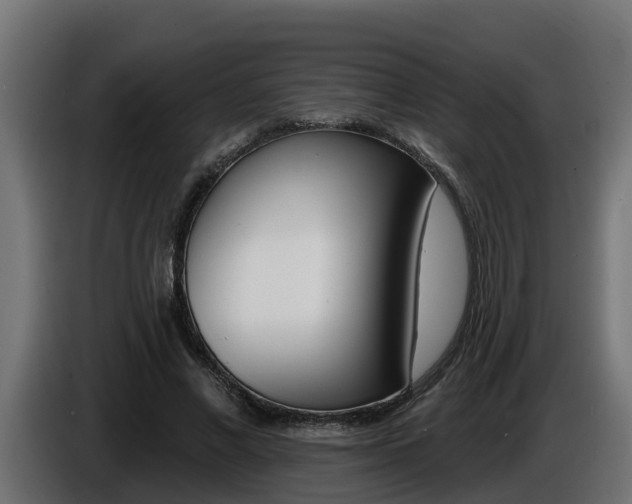 X0000086730685200704130747