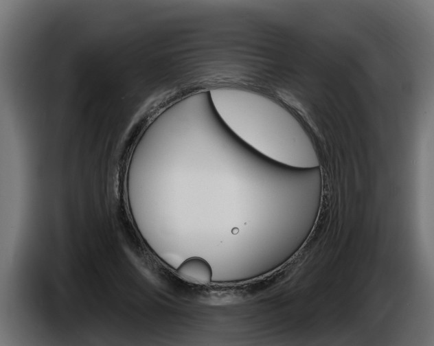 X0000086730686200704130747