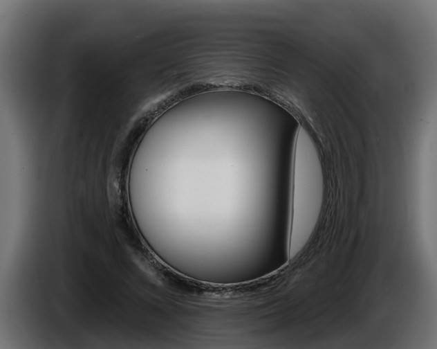 X0000086730688200704130747