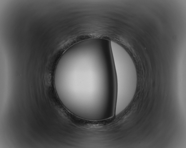 X0000086730689200704130747