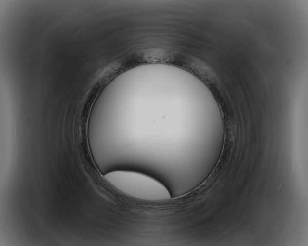 X0000086730690200704130747