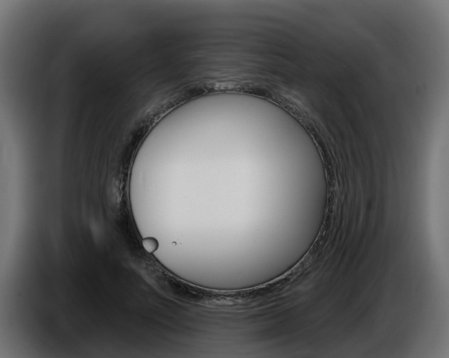 X0000086730691200704130747