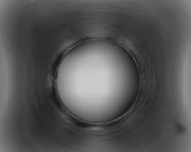 X0000086730692200704130747