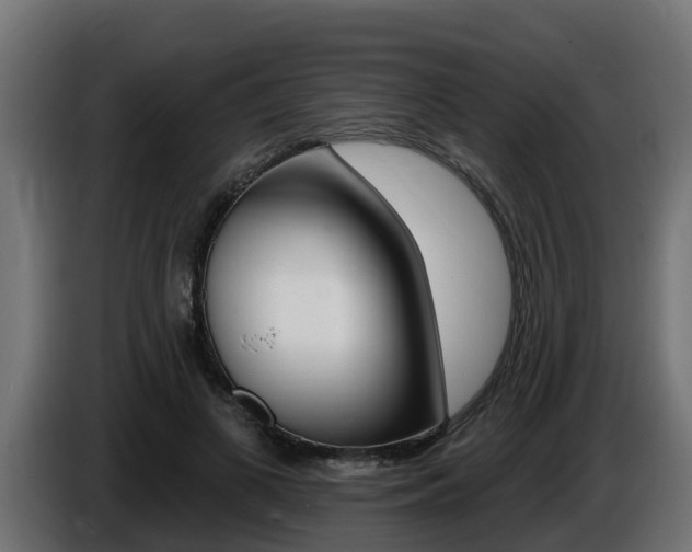 X0000086730693200704130747