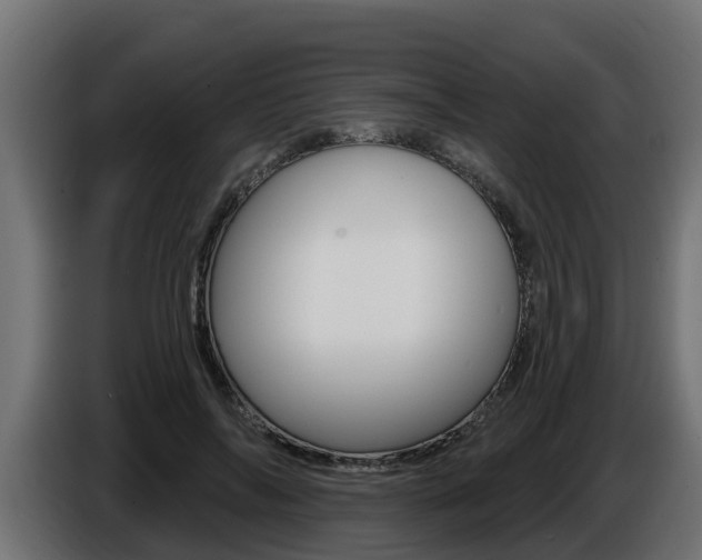 X0000086730694200704130747