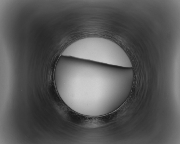 X0000086730695200704130747