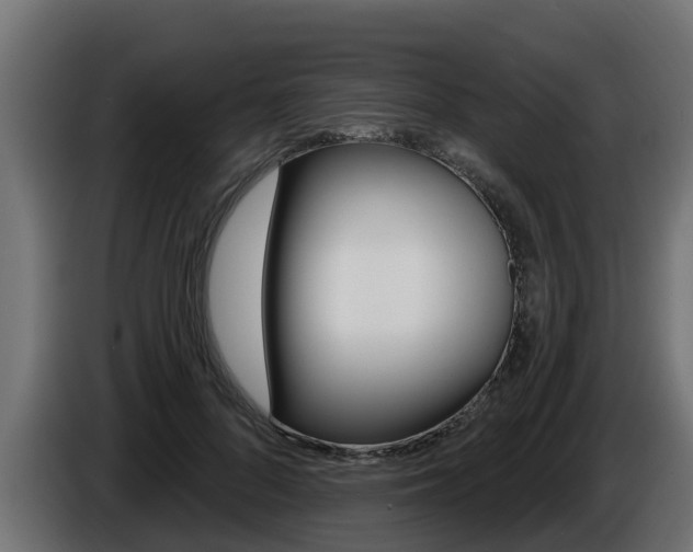X0000086730696200704130747