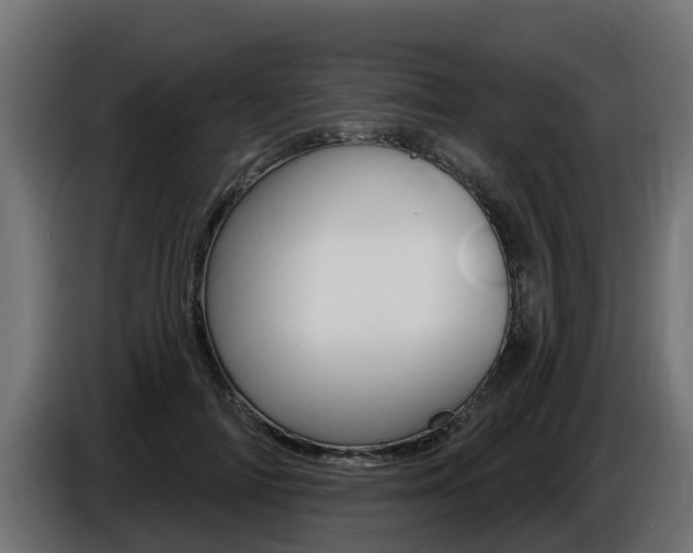 X0000086730698200704130747