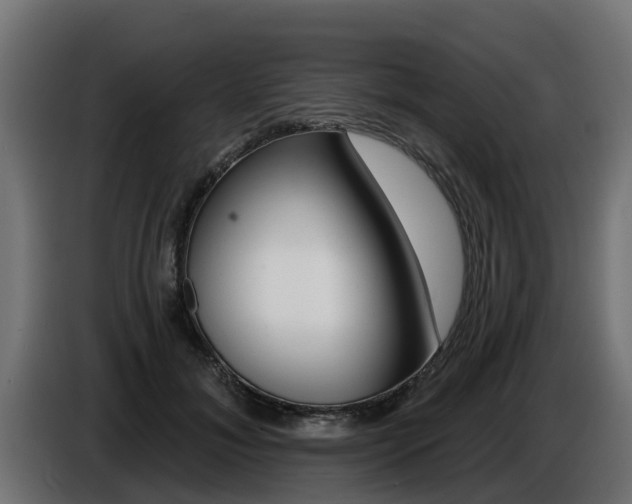 X0000086730700200704130747