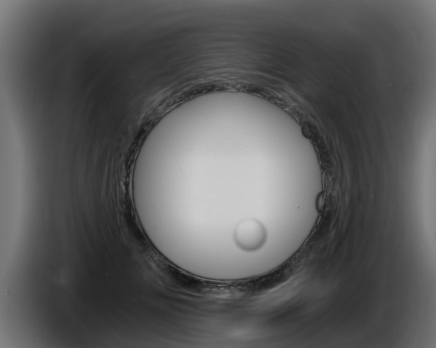 X0000086730702200704130747