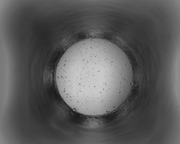X0000086730703200704130747