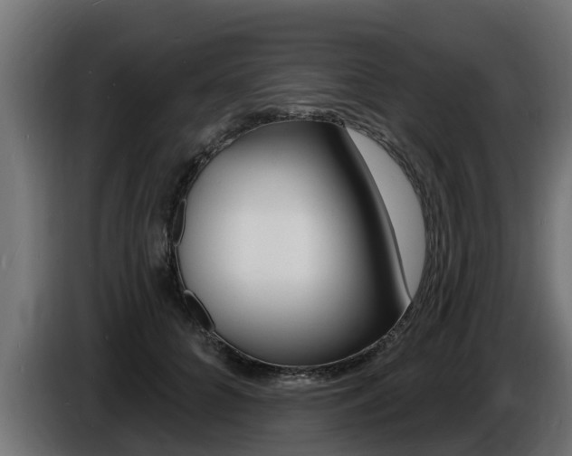 X0000086730704200704130746