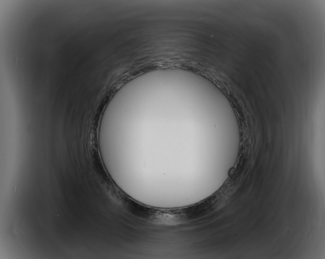 X0000086730706200704130746