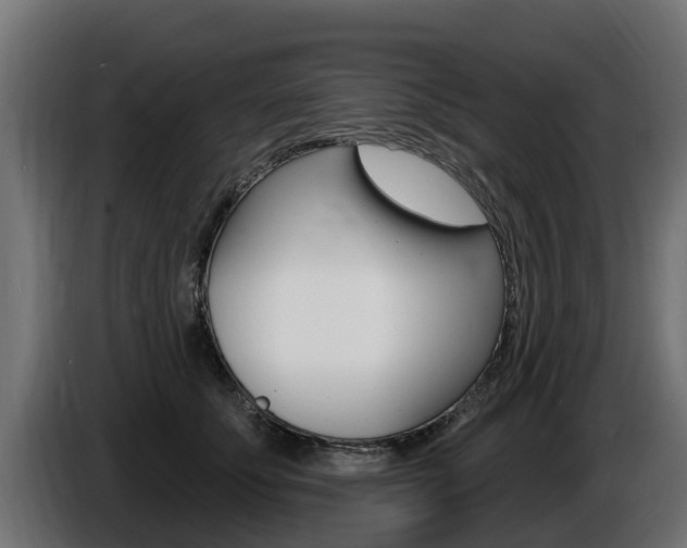 X0000086730707200704130746