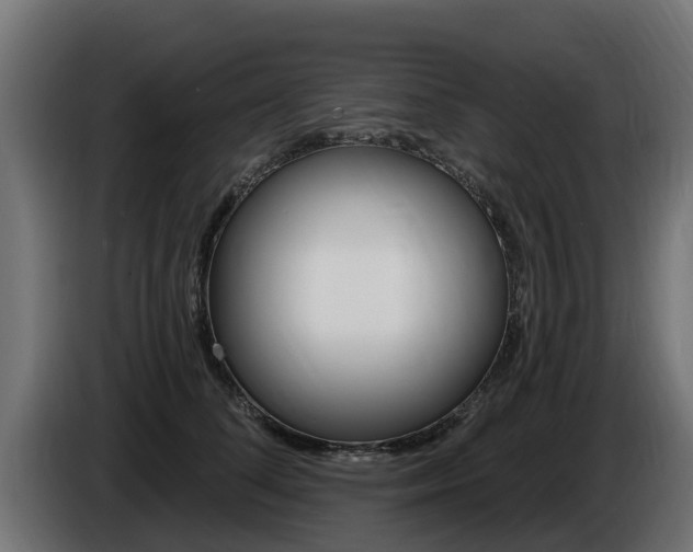 X0000086730708200704130746