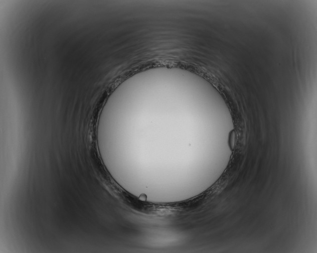 X0000086730710200704130746