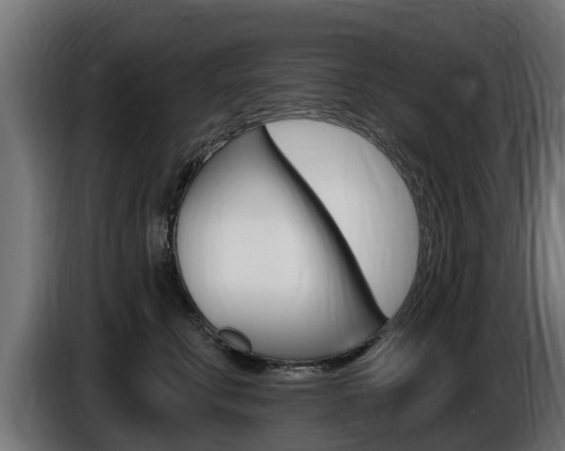X0000086730711200704130746