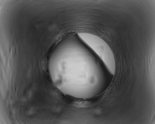 X0000086730712200704130746