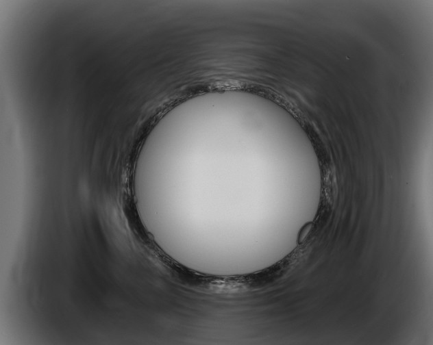 X0000086730714200704130746