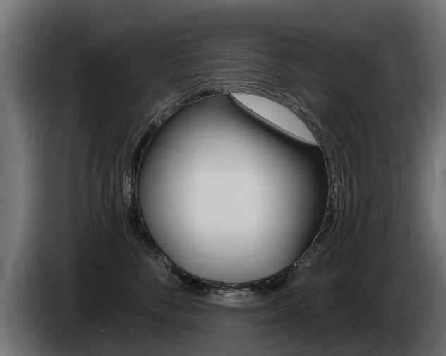 X0000086730716200704130746