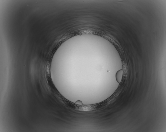X0000086730717200704130746