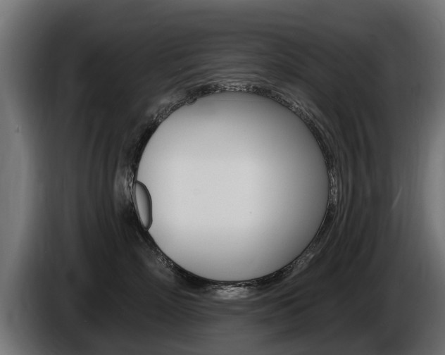 X0000086730718200704130746