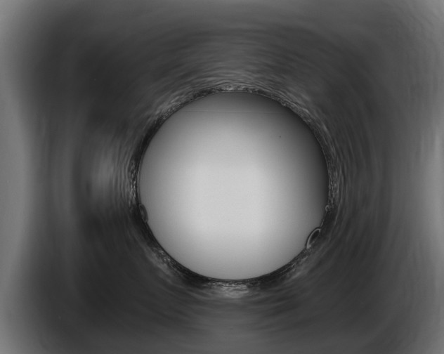 X0000086730719200704130746