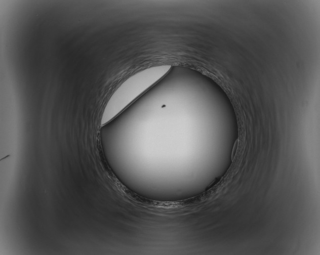 X0000086730720200704130746