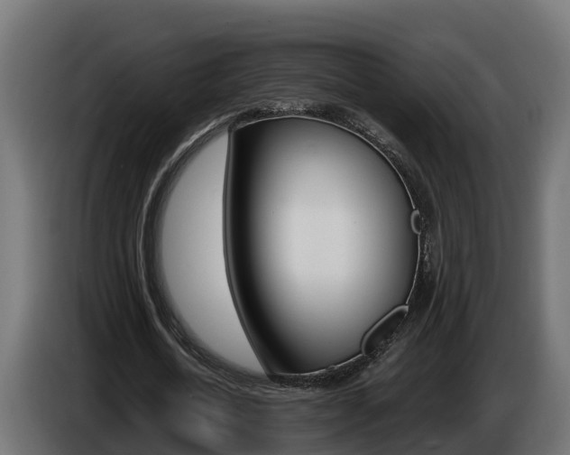 X0000086730722200704130746