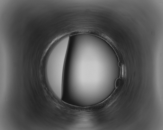 X0000086730723200704130746