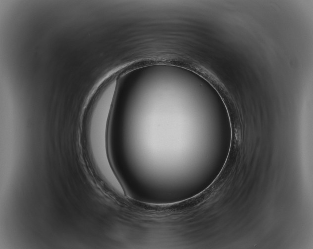 X0000086730724200704130746