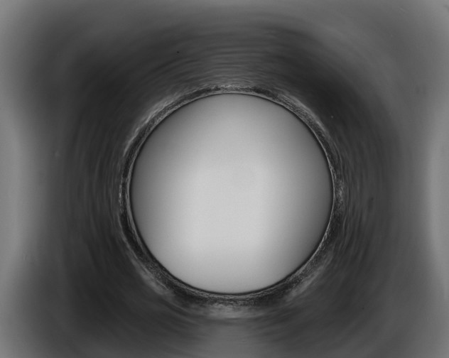 X0000086730725200704130746