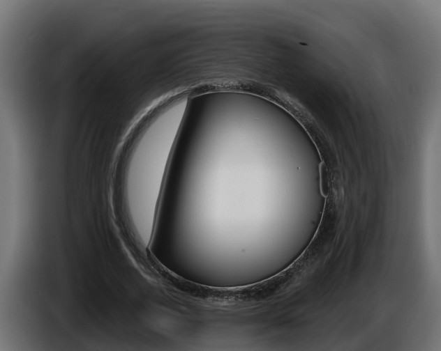 X0000086730728200704130746