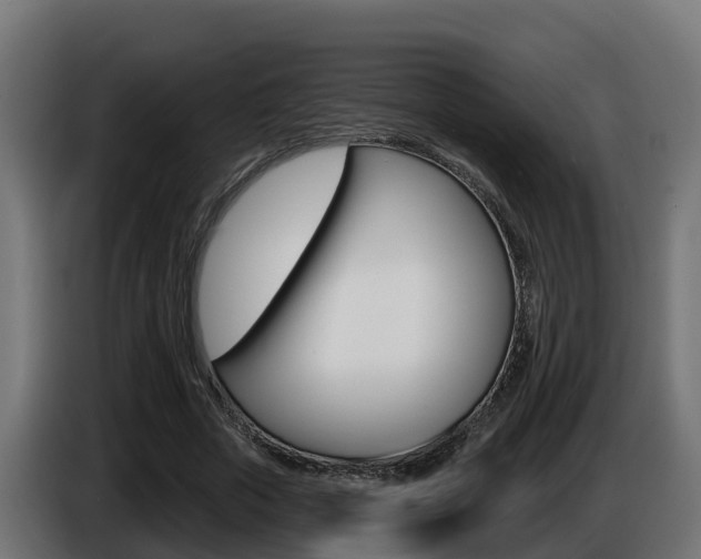 X0000086730729200704130746