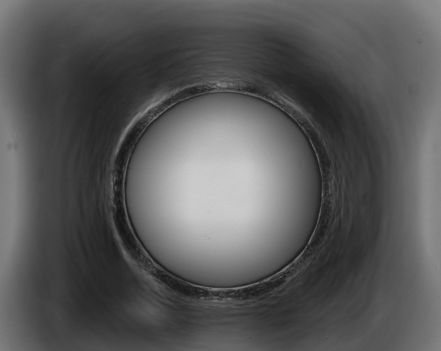 X0000086730730200704130746