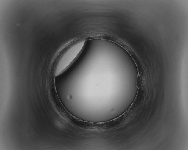 X0000086730732200704130746