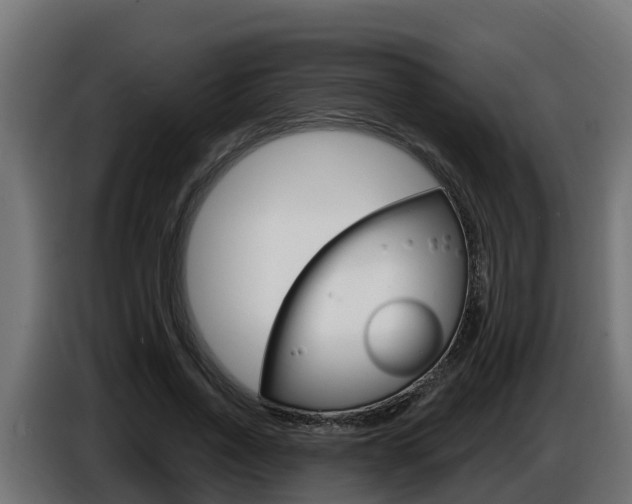 X0000086730734200704130746