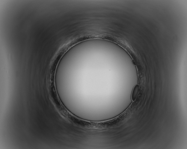 X0000086730736200704130746