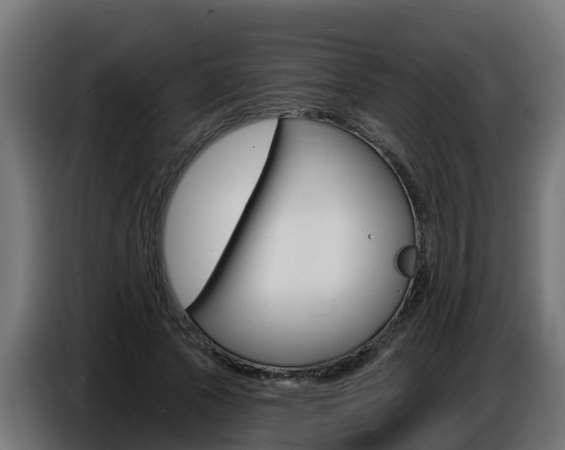 X0000086730737200704130746
