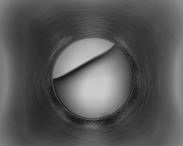 X0000086730738200704130746