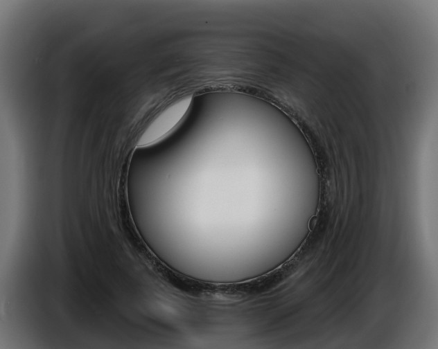 X0000086730739200704130746