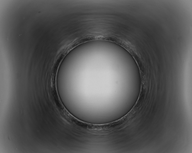 X0000086730740200704130746