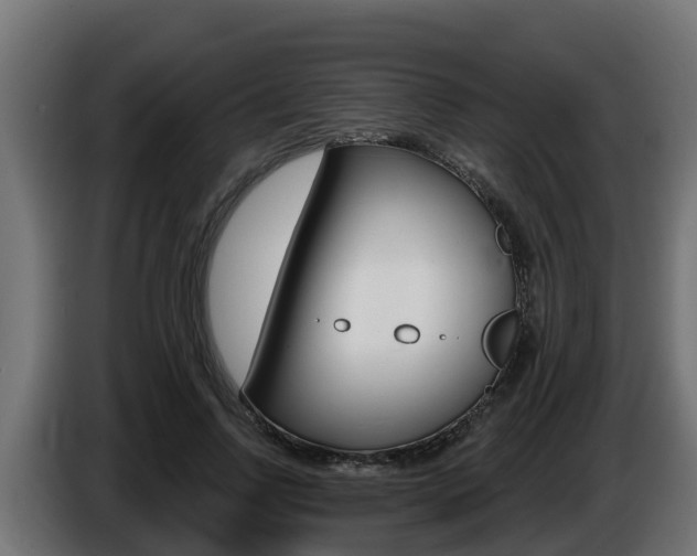 X0000086730742200704130746
