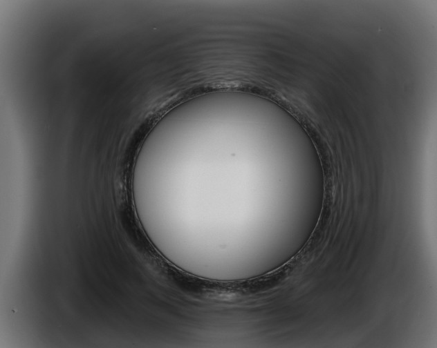 X0000086730743200704130746
