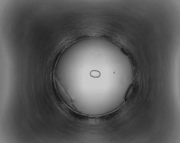 X0000086730744200704130746