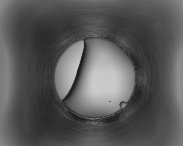 X0000086730745200704130746